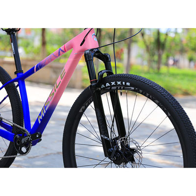 Bicicleta de montanha de construção de fibra de carbono para adultos