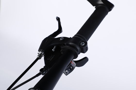 Pedal comum de 26 polegadas de bicicleta de montanha equipada com Ltwoo A11 11s engrenagem e aço carbono
