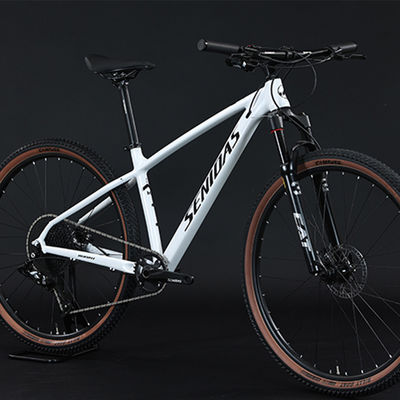 11-52T Bicicleta de montanha de descida com câmbio Shimano e pedal comum
