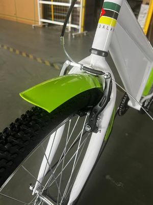 26 polegadas AD placa promocional bicicleta de velocidade única bicicleta de cidade publicidade bicicleta